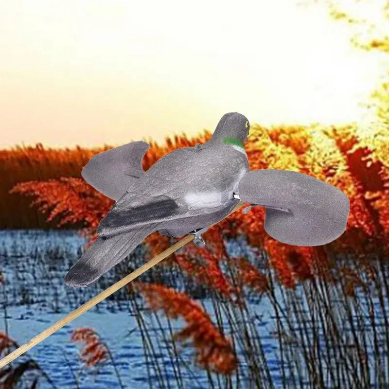 Pigeon Decoy Hunting Bait