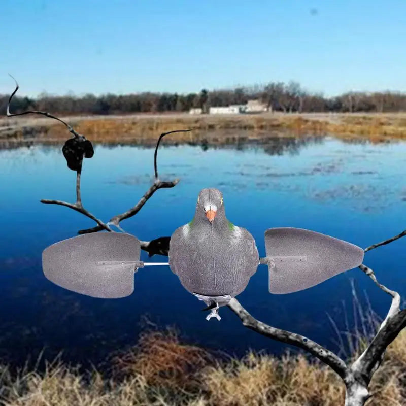 Pigeon Decoy Hunting Bait