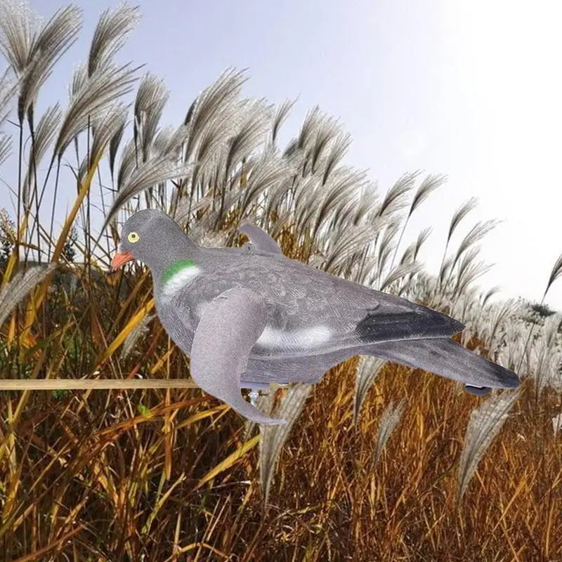 Pigeon Decoy Hunting Bait