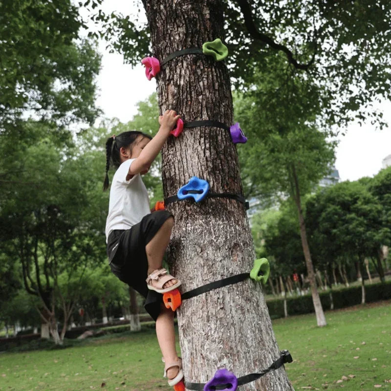 Kids Climbing Wall KIt